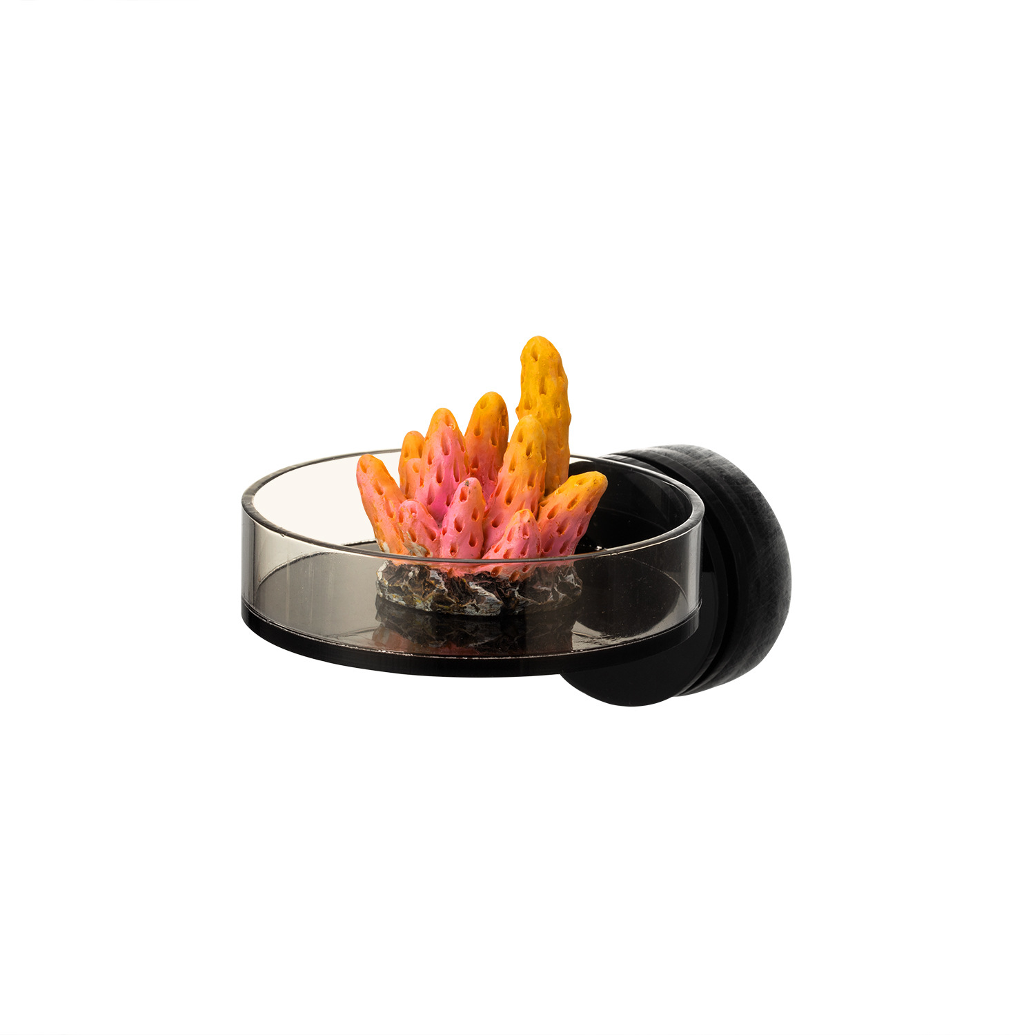 Aquarium Marine - Marine Sources 70 mm zwart magnetisch