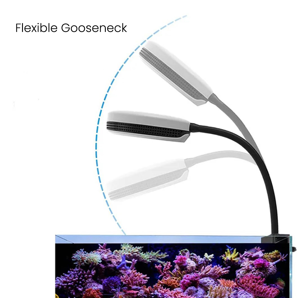 Spectra SP20 20W Aquarium LED- - Aquarium Marine Lights recensie en prijs