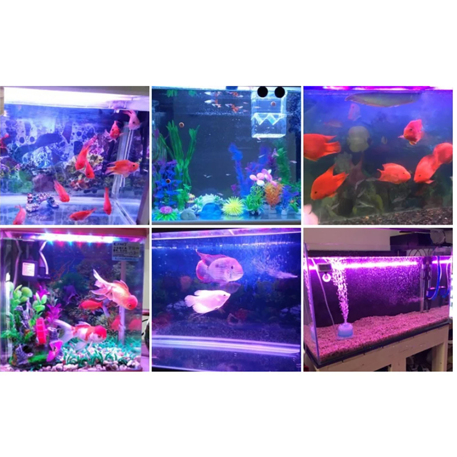 50W 60W 70W 100W RGB 26-28V Ho - Marine Aquarium Uv Light recensie en prijs