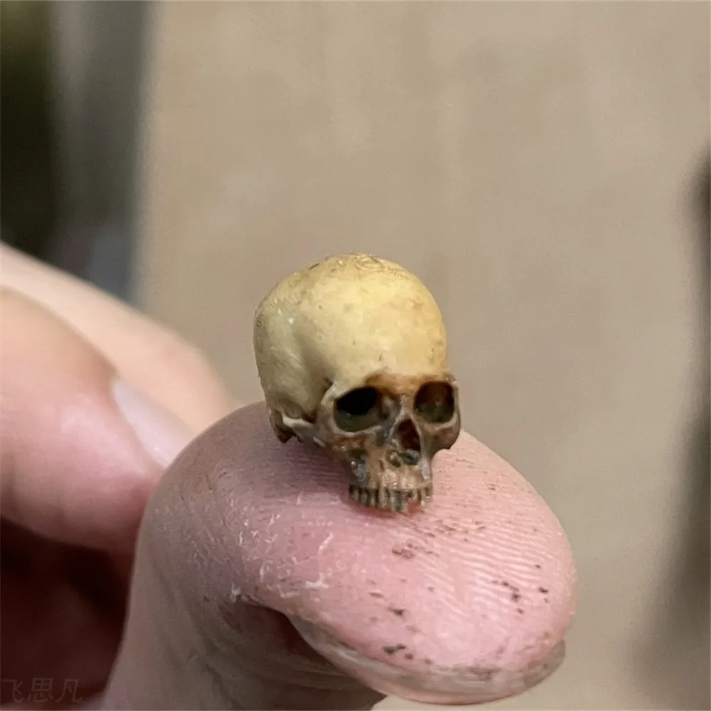 Mini Skull Hoge kwaliteit mini - Marine Aquarium Mini recensie en prijs