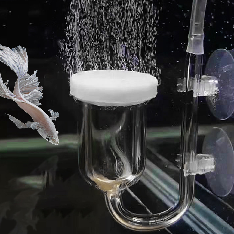 Glazen Luchtpomp Zandsteen Aqu - Aquarium Marine Sand recensie en prijs